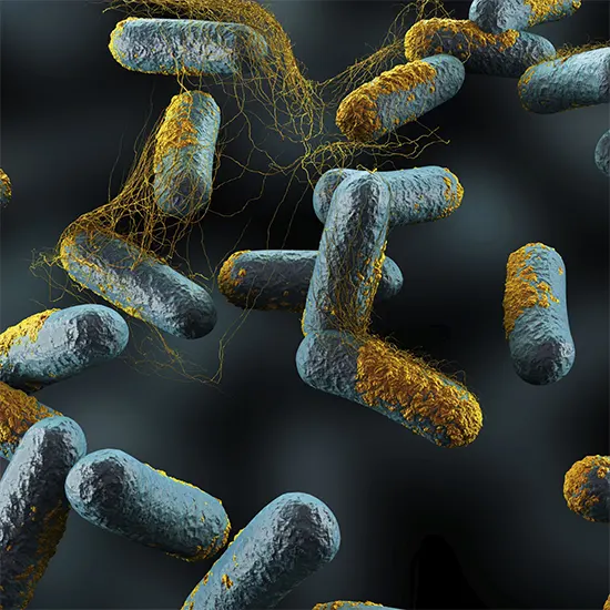 Clostridium Botulinum